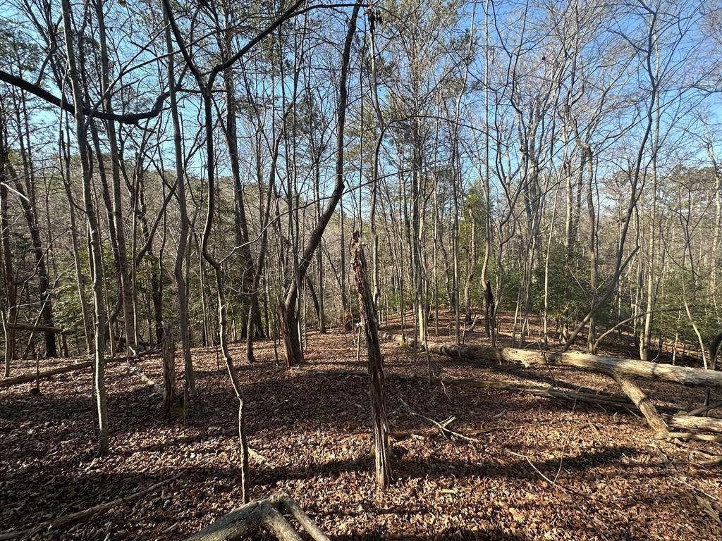Ellijay, GA 30540,LT10&11R Villa Drive