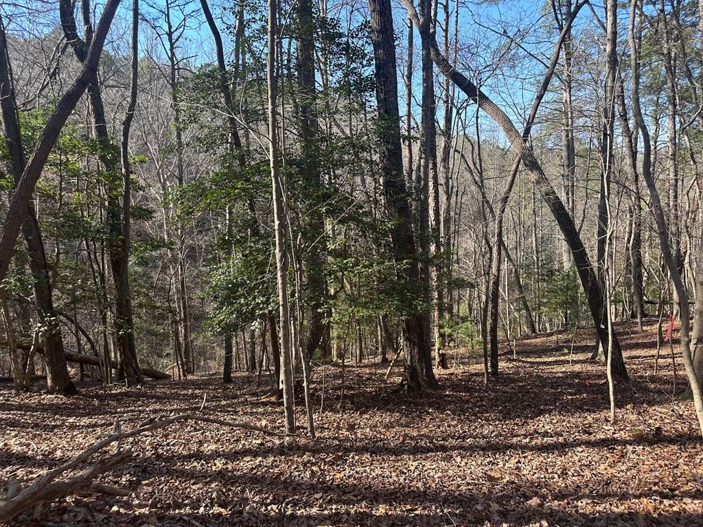 Ellijay, GA 30540,LT10&11R Villa Drive