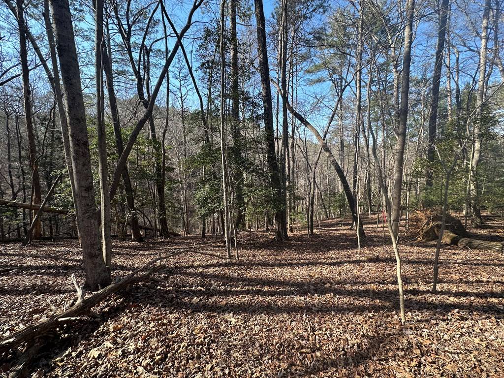 Ellijay, GA 30540,LT10&11R Villa Drive