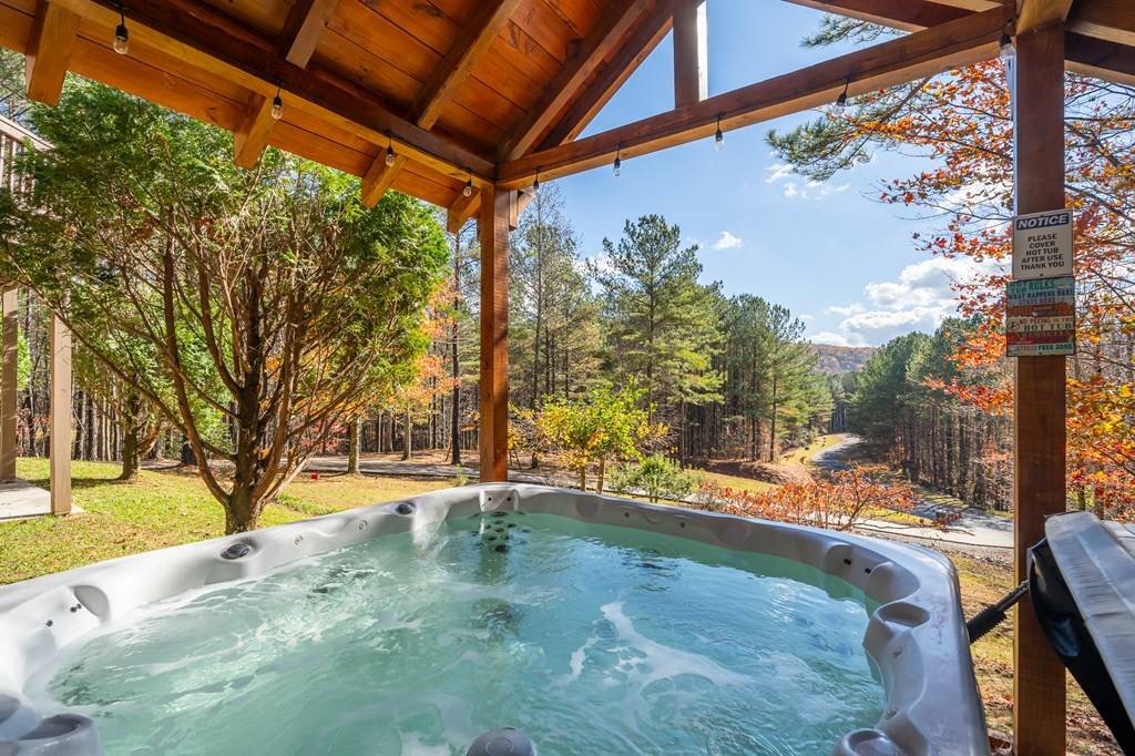 Ellijay, GA 30536,270 Black Bear Ridge Road