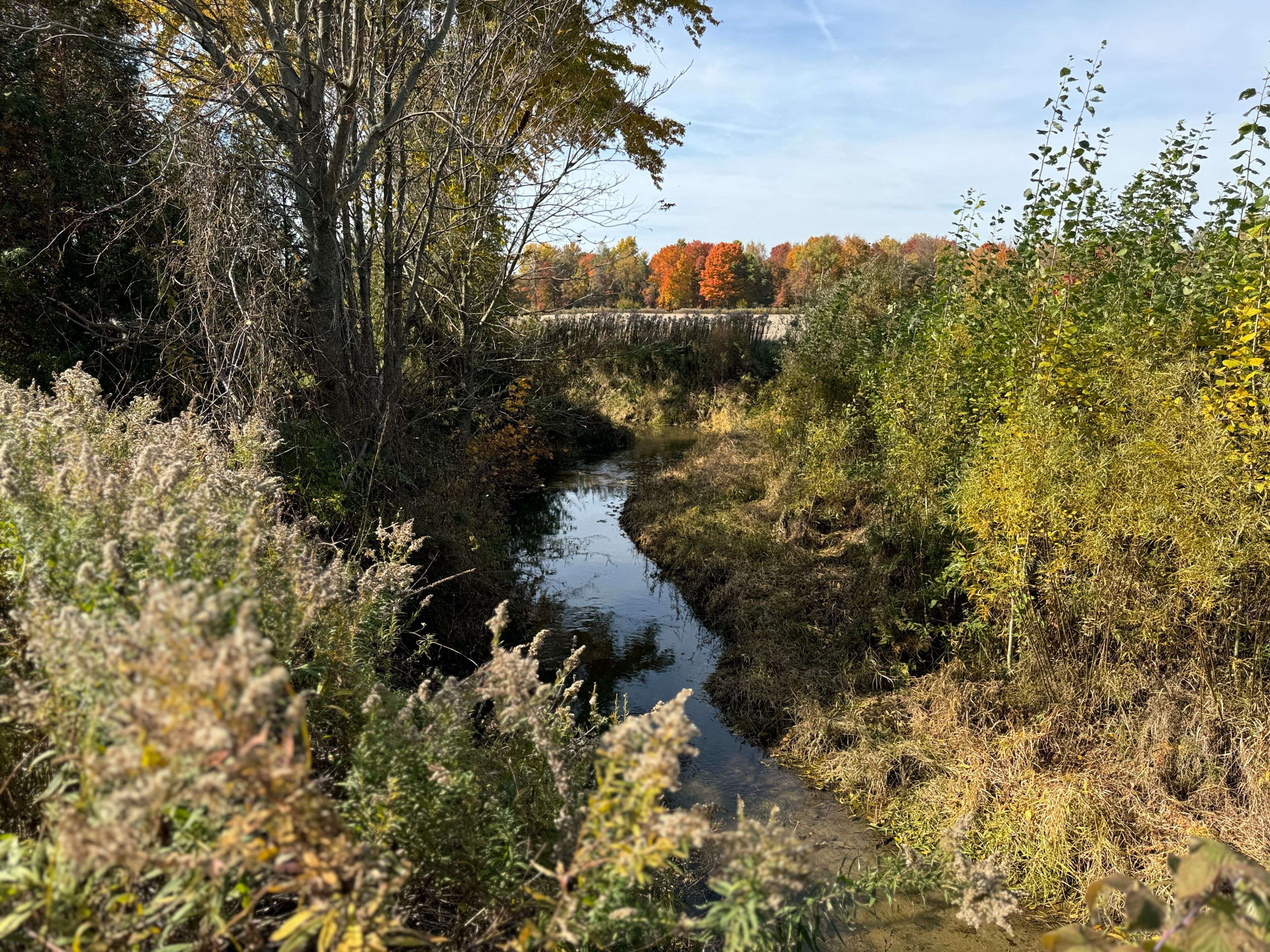 Chatham-kent, ON N0P 2K0,29284 Jane RD