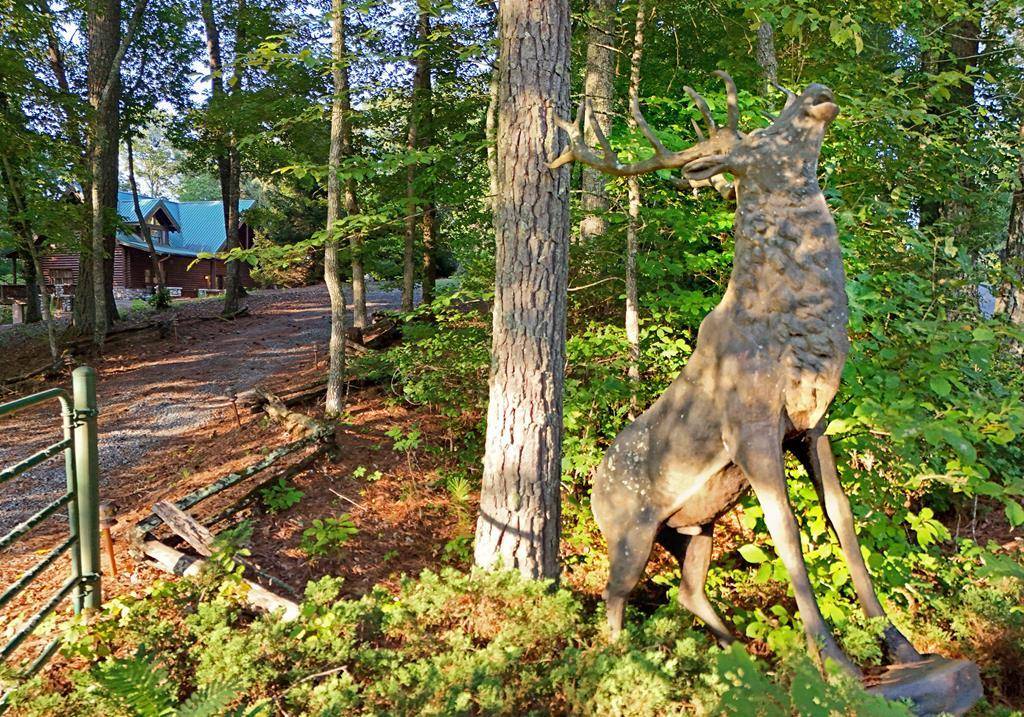 Mineral Bluff, GA 30559,2682 Douthit Road