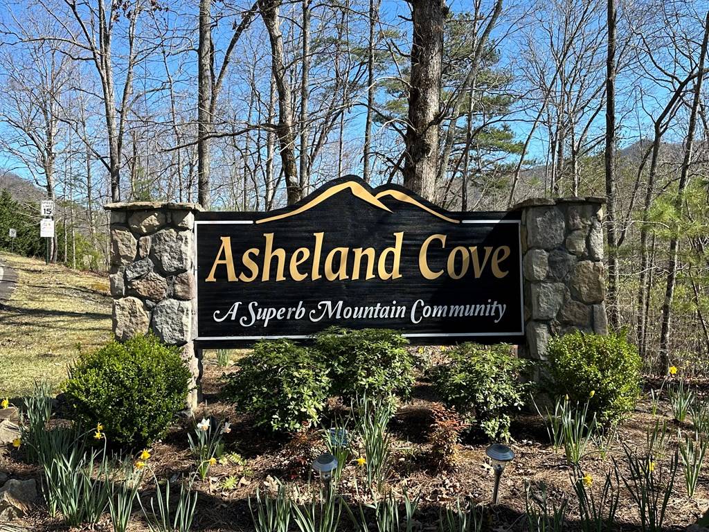 Young Harris, GA 30582,Lot 40 Asheland Cove Drive