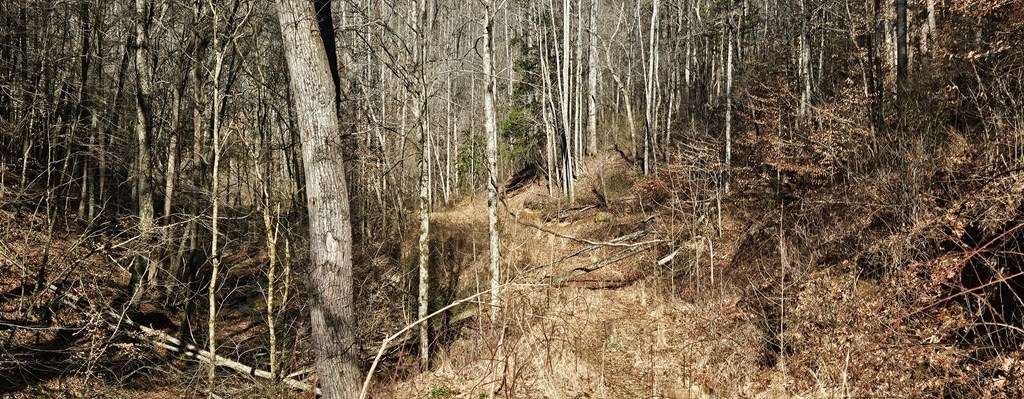 Abingdon, VA 24210,TBD Garrett Creek Rd