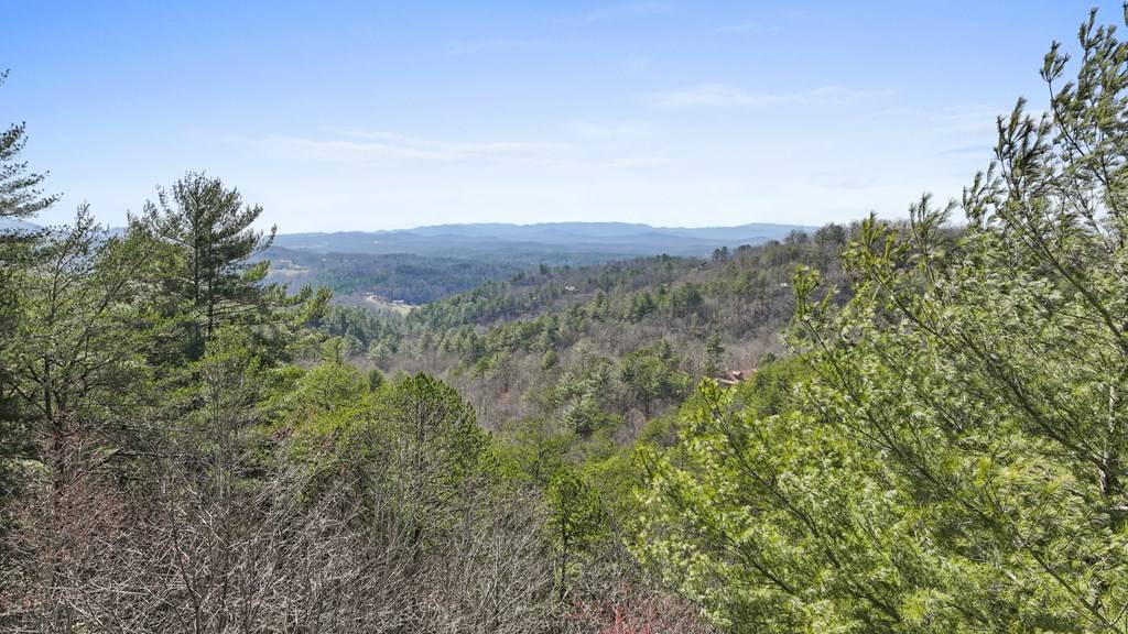 Morganton, GA 30560,168 Mountain Lookout