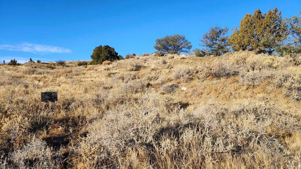 Walsenburg, CO 81089,TBD No Site Address