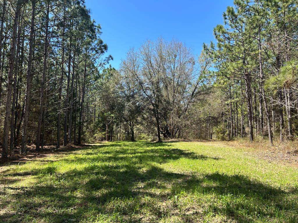 Slocomb, AL 36375,923 Lakeview Rd