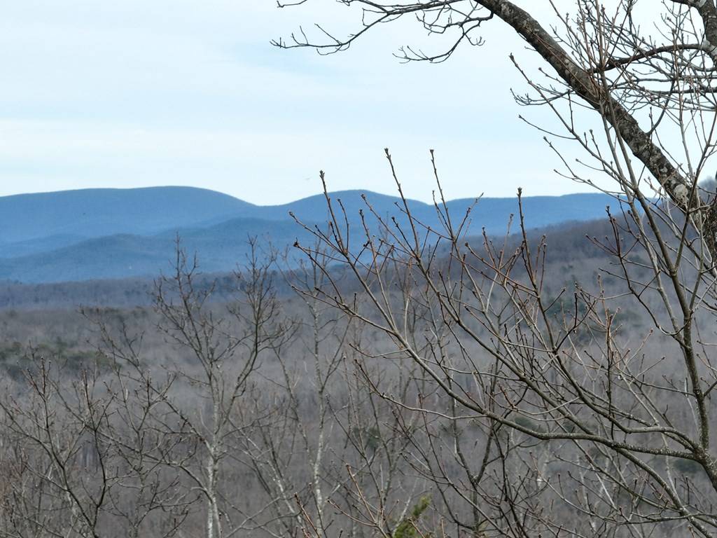 Ellijay, GA 30536,235 Andes Ridge