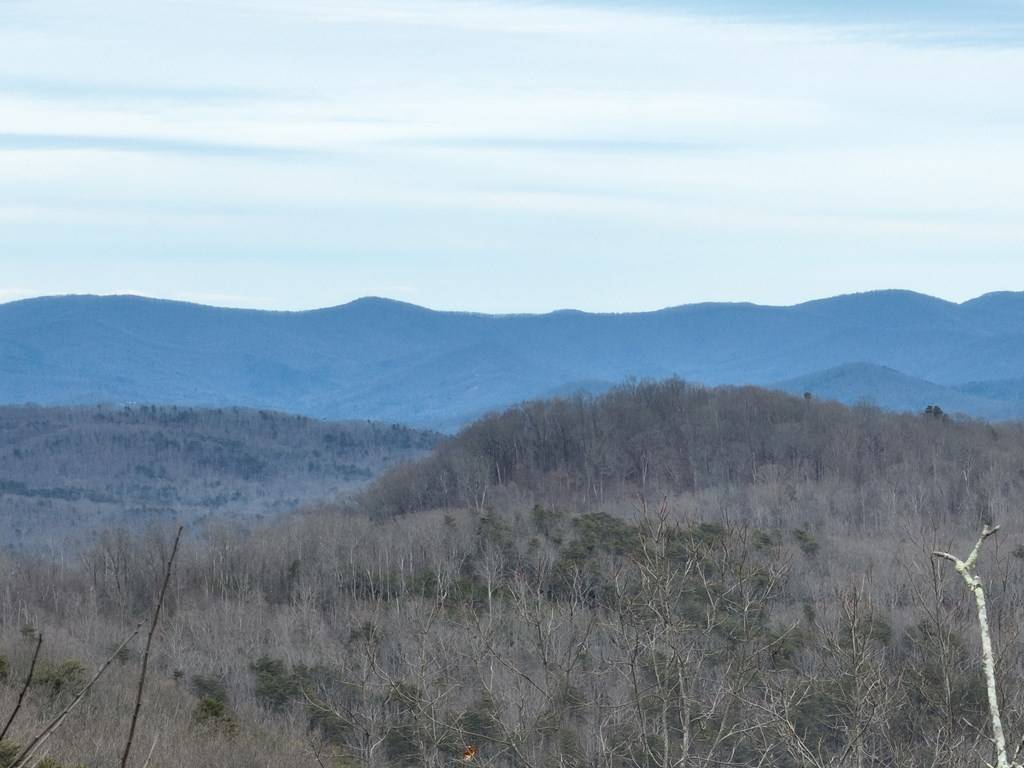 Ellijay, GA 30536,235 Andes Ridge