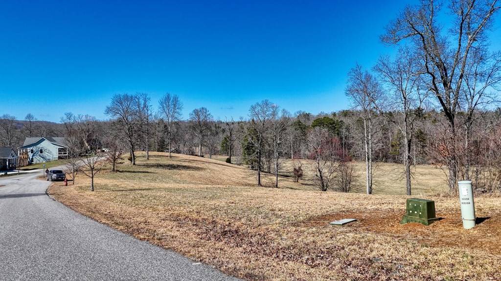 Blairsville, GA 30512,0.0 Lola Drive