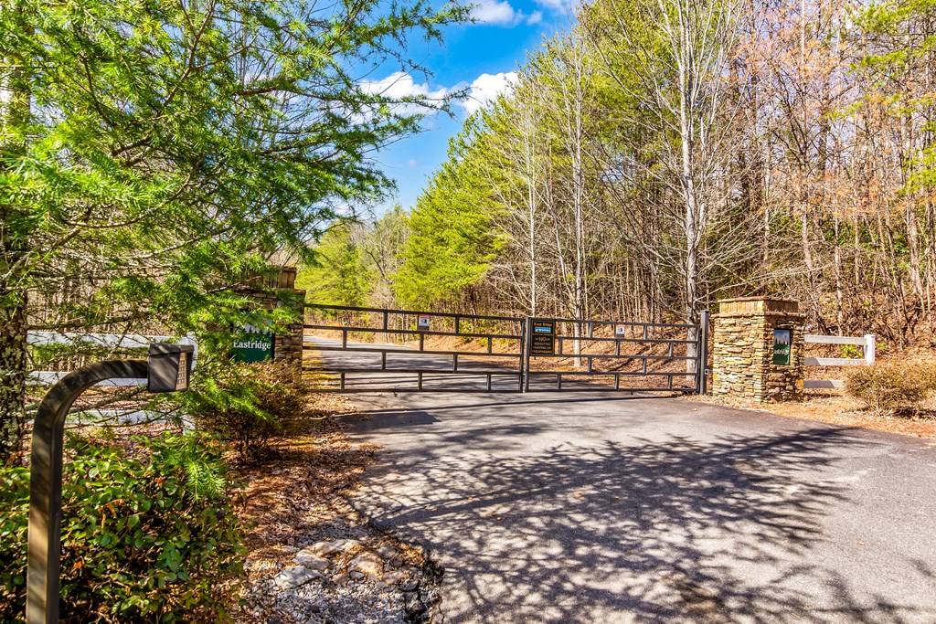 Ellijay, GA 30536,Lot 9 East Ridge Lane