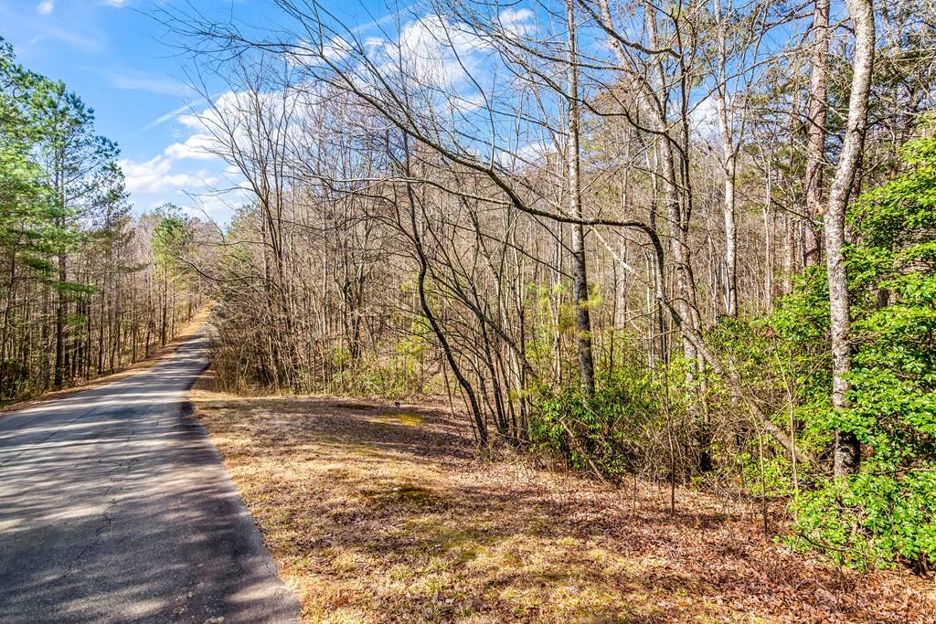 Ellijay, GA 30536,Lot 9 East Ridge Lane