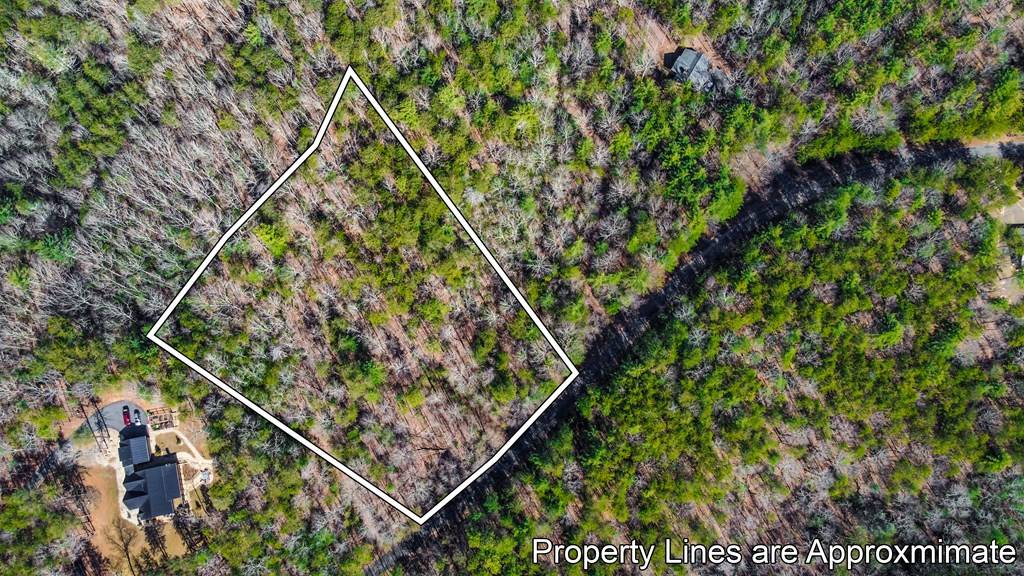 Ellijay, GA 30536,Lot 9 East Ridge Lane