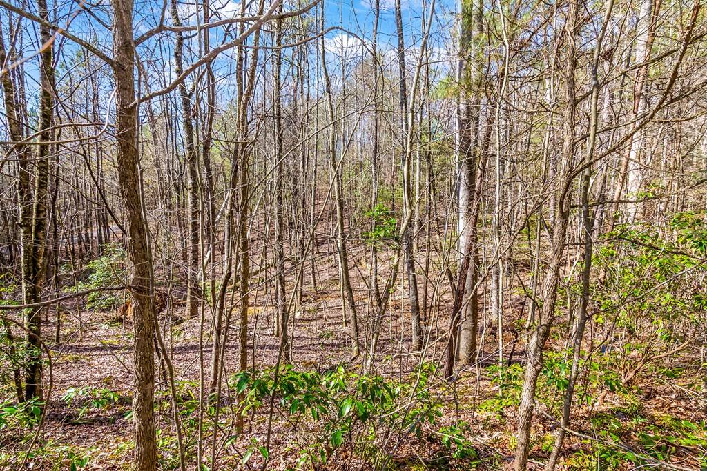 Ellijay, GA 30536,Lot 9 East Ridge Lane