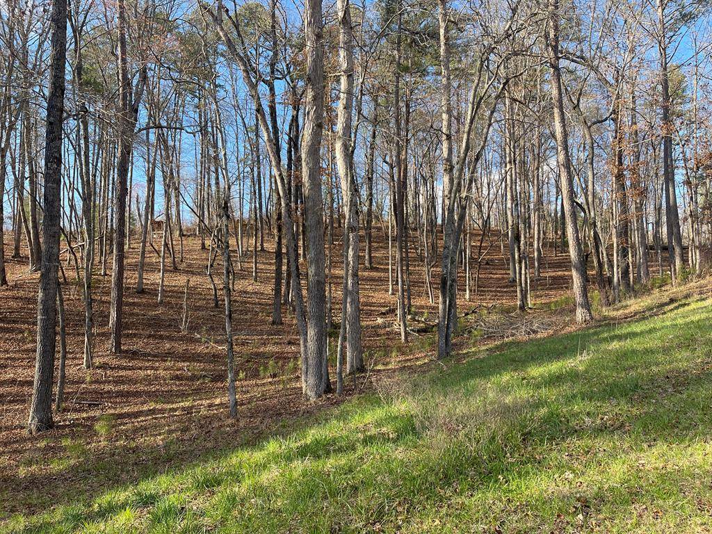 Ellijay, GA 30540,Lot# 208 Pinnacle Drive