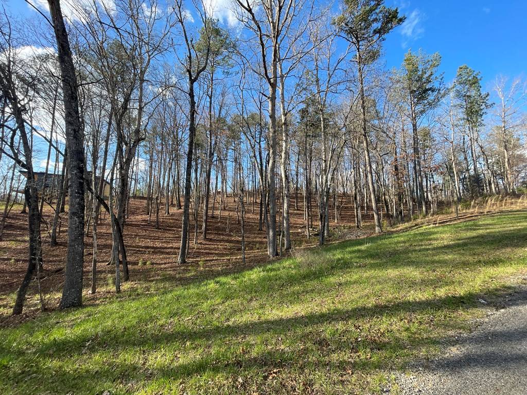 Ellijay, GA 30540,Lot# 208 Pinnacle Drive