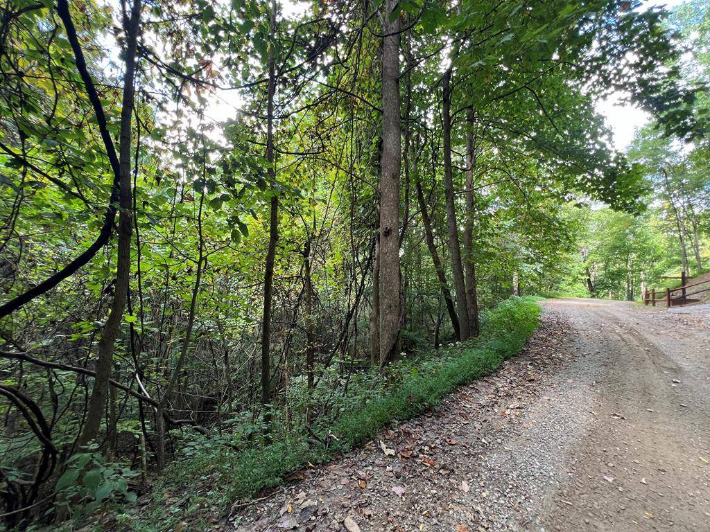 Hayesville, NC 28904,Lot 15 Shiloh Development