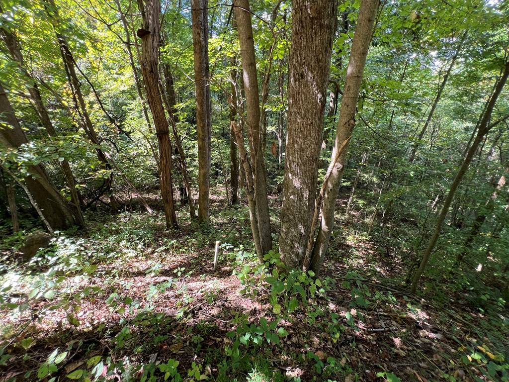 Hayesville, NC 28904,Lot 15 Shiloh Development