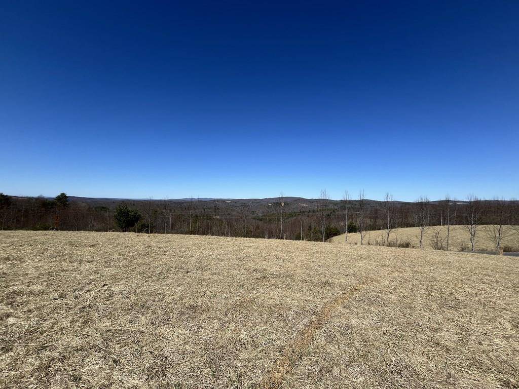 Dugspur, VA 24325,TBD Silverleaf Road