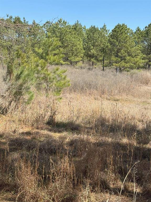Marshall, TX 75672,TBD Boards Ferry Rd