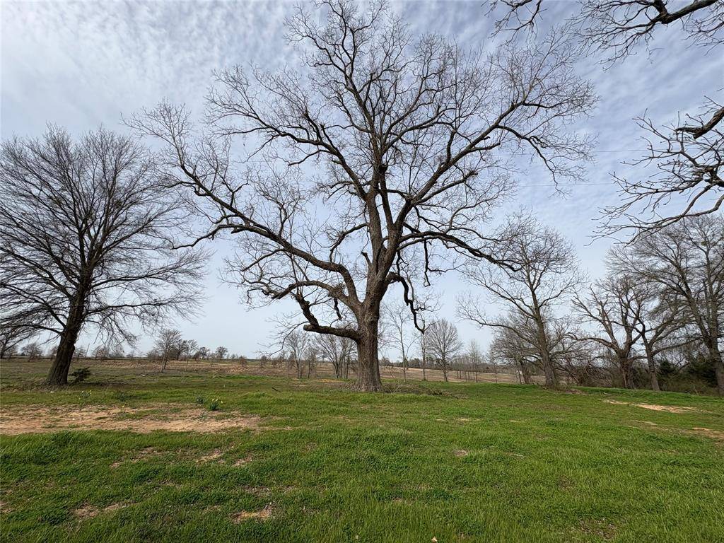 Como, TX 75431,TBD County Road 2425 #Tract #1