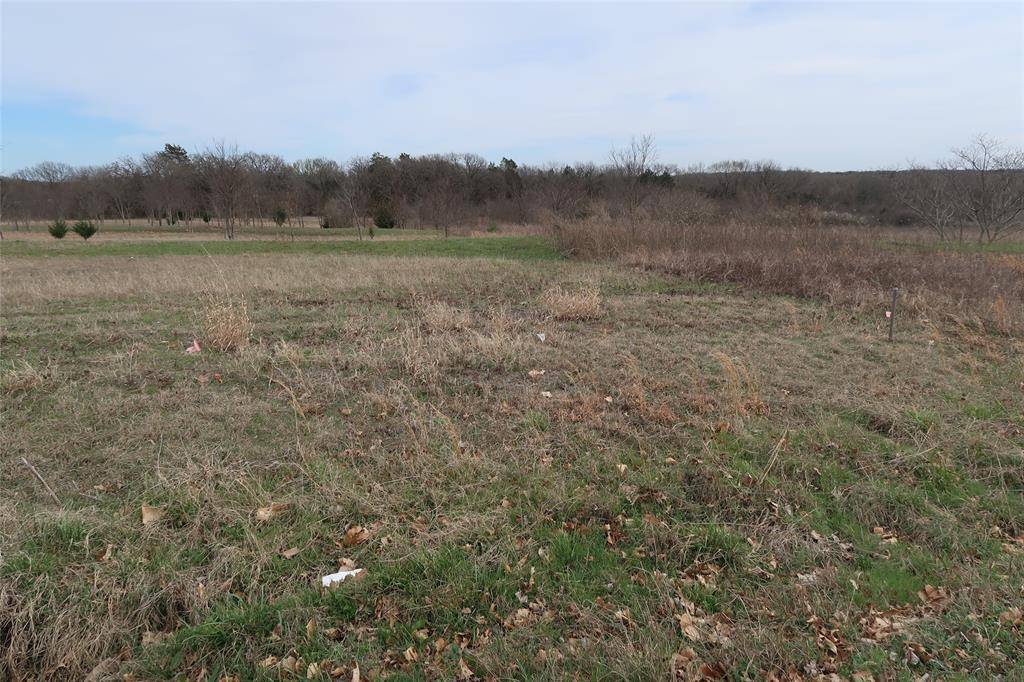 Whitesboro, TX 76273,Lot 9 Reast Road
