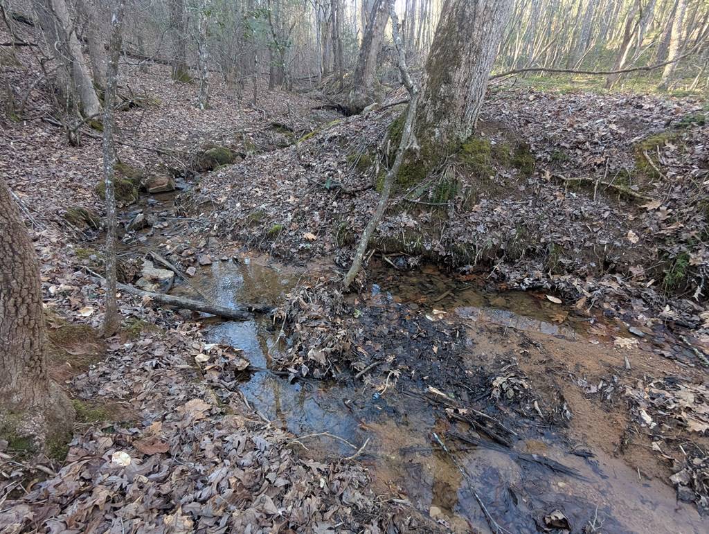 Blairsville, GA 30546,0 Ivy Log Drive