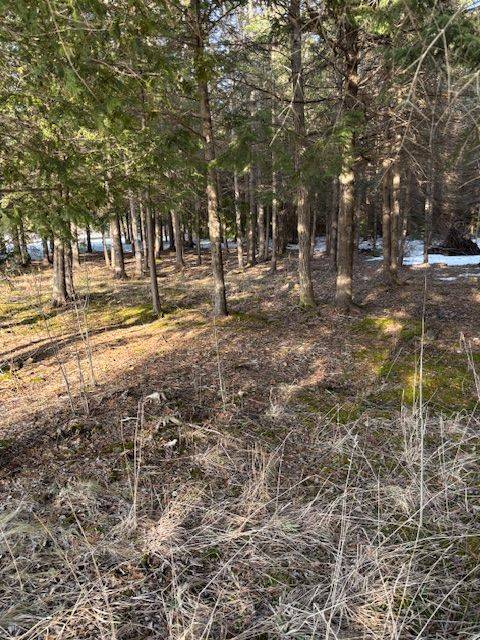 Southgate, ON N0G 2L0,1 southgate srd 57 RD N