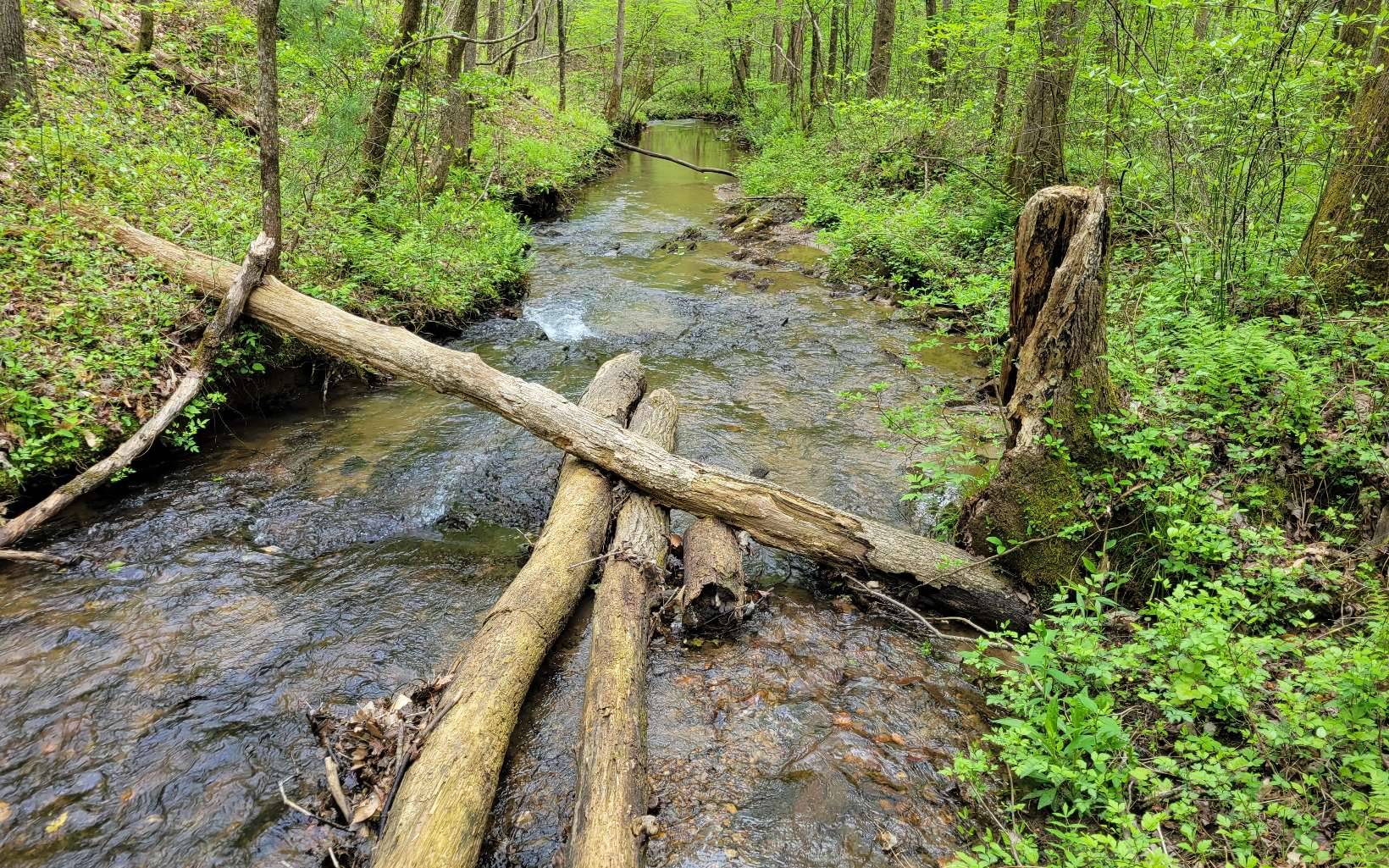 Ellijay, GA 30536,LOT27 Oak Ridge Way