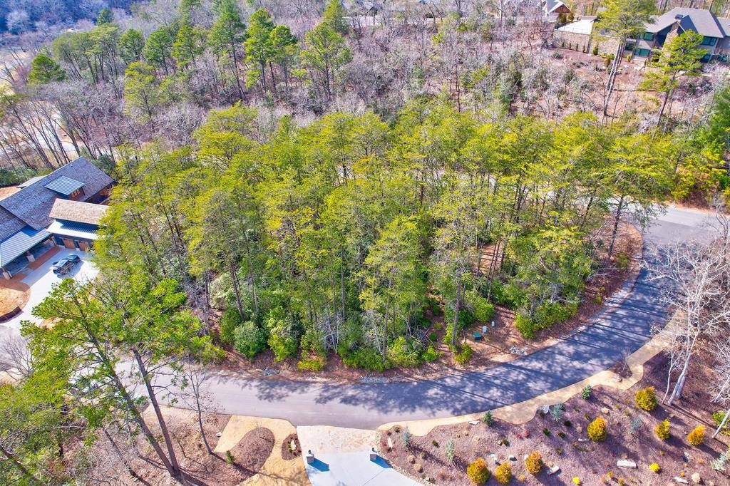 Mineral Bluff, GA 30559,Lot 116 Old Toccoa Farm