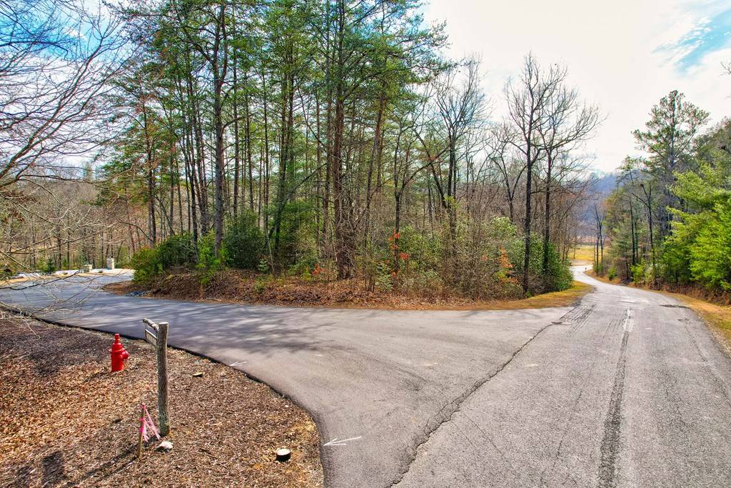 Mineral Bluff, GA 30559,Lot 116 Old Toccoa Farm