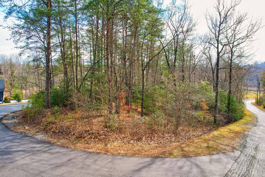 Mineral Bluff, GA 30559,Lot 116 Old Toccoa Farm