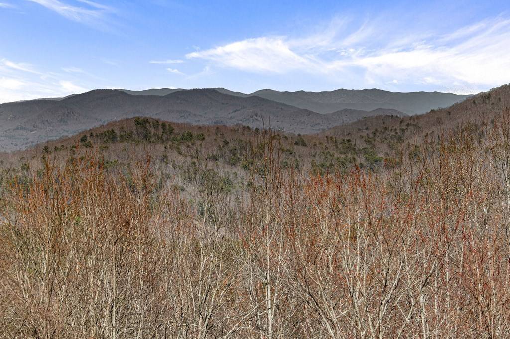 Mineral Bluff, GA 30559,Old Mill Old Mill Road