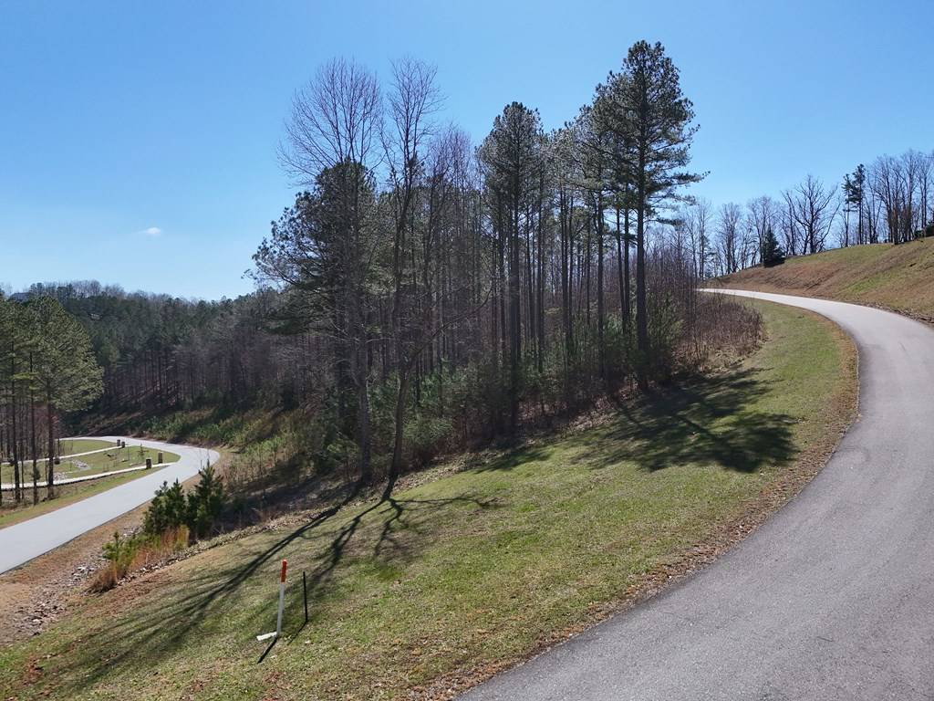 Blairsville, GA 30512,Lot 54 Deyton Drive