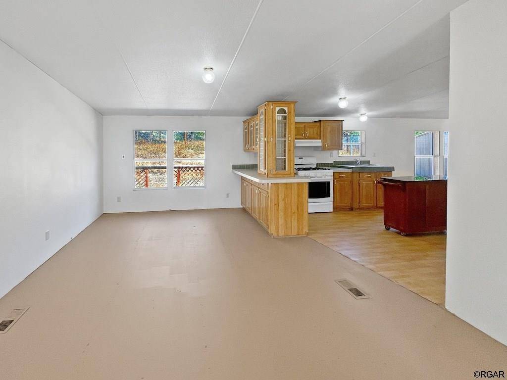 Cotopaxi, CO 81223,594 Texas Creek LN