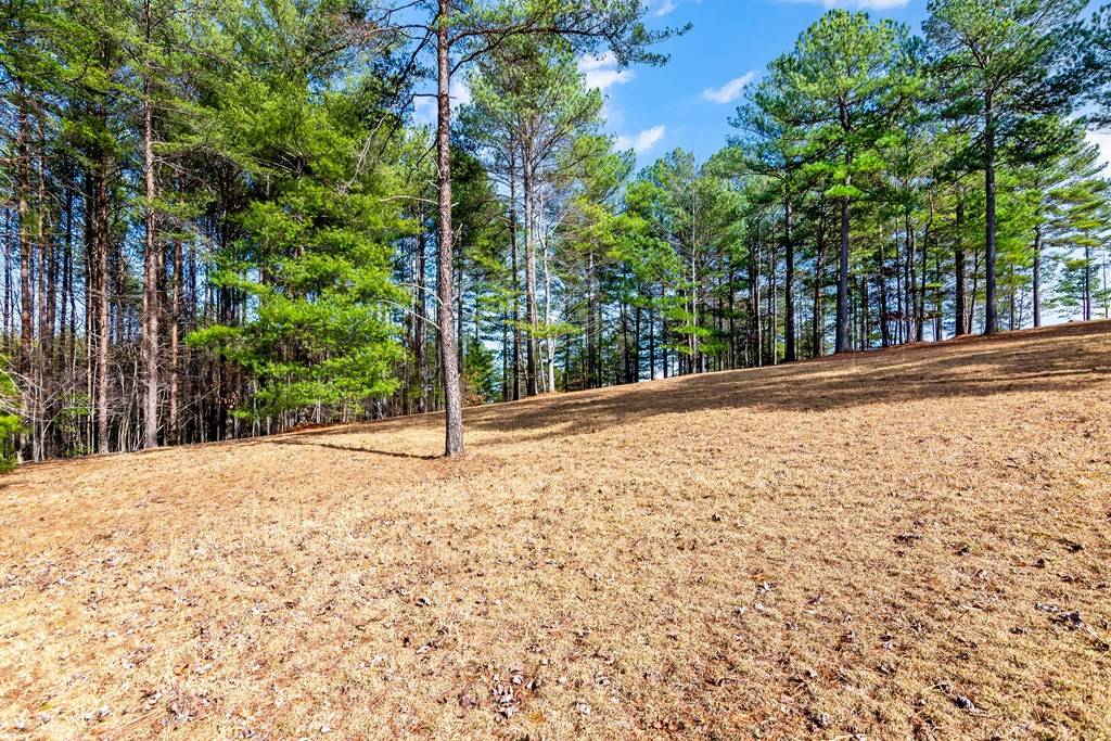 Blairsville, GA 30512,Lot 87 The Sanctuary