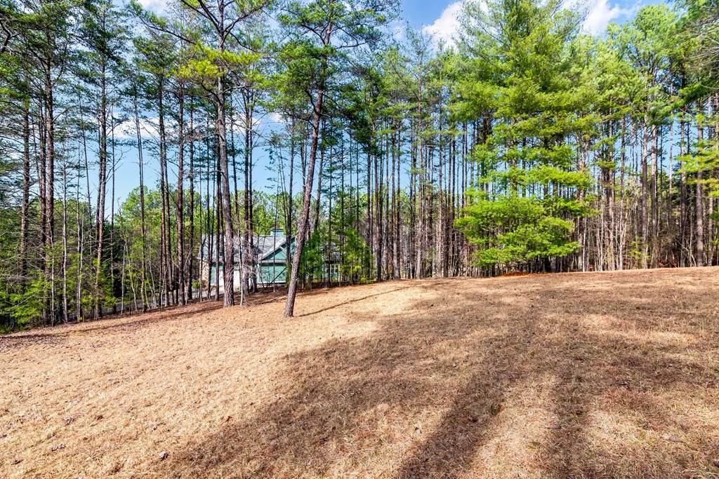 Blairsville, GA 30512,Lot 87 The Sanctuary