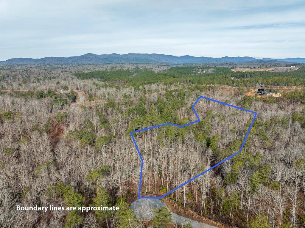 Ellijay, GA 30540,Lot 127 Red Hawk Lane