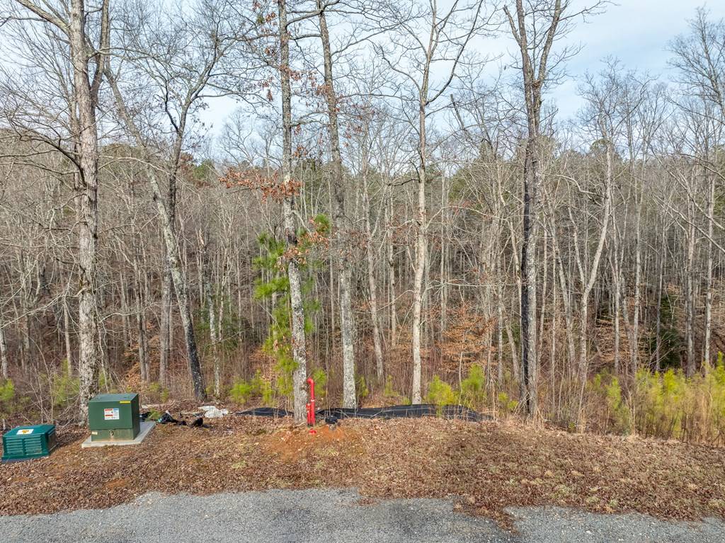 Ellijay, GA 30540,Lot 127 Red Hawk Lane