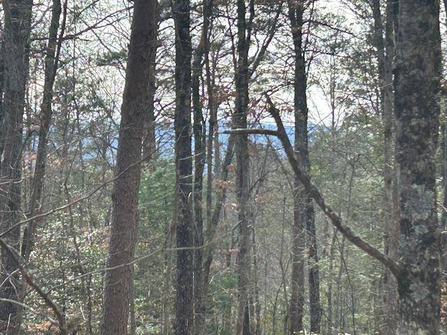 Blue Ridge, GA 30513,5.95 Ac Alp Lane