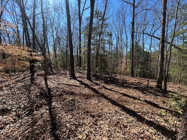 Blue Ridge, GA 30513,5.95 Ac Alp Lane