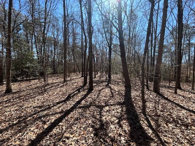 Blue Ridge, GA 30513,5.95 Ac Alp Lane