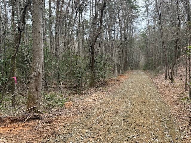 Blue Ridge, GA 30513,5.95 Ac Alp Lane