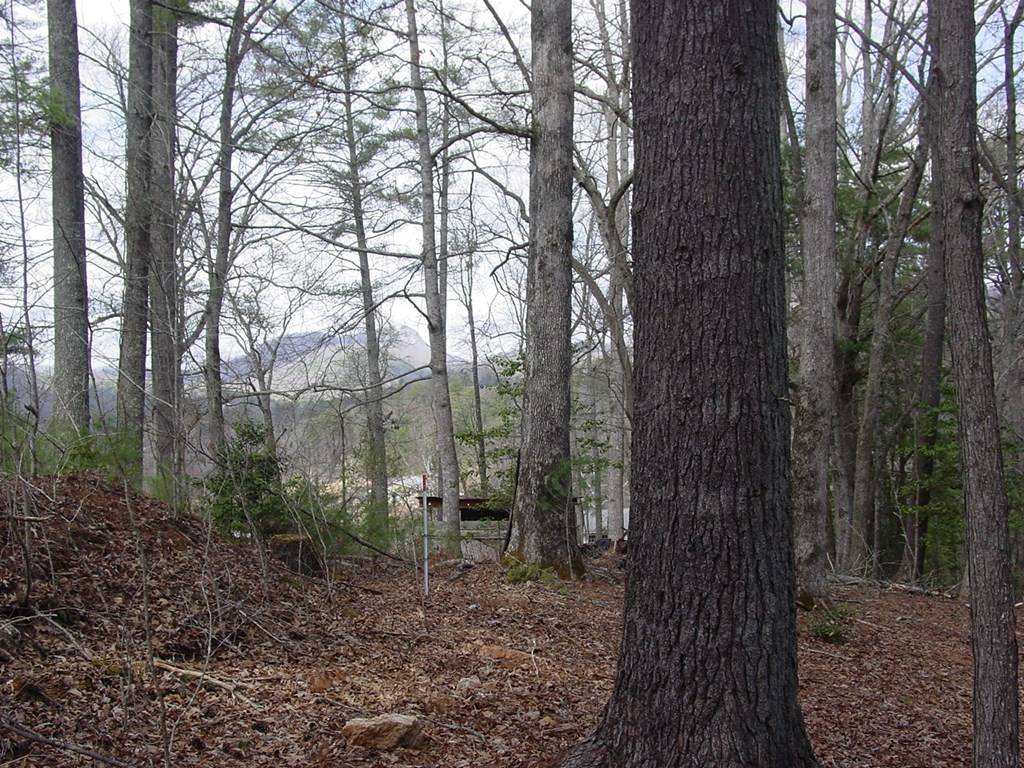 Hiawassee, GA 30546,Tract 3 HF Lyons Road