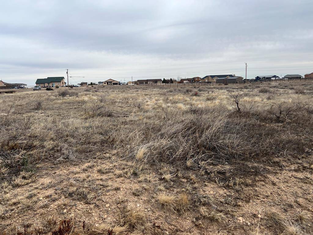 Pueblo West, CO 81007,487 E Scandia Dr