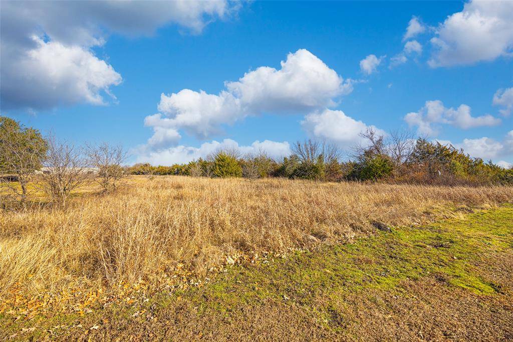 Princeton, TX 75407,0000 Southpoint Drive