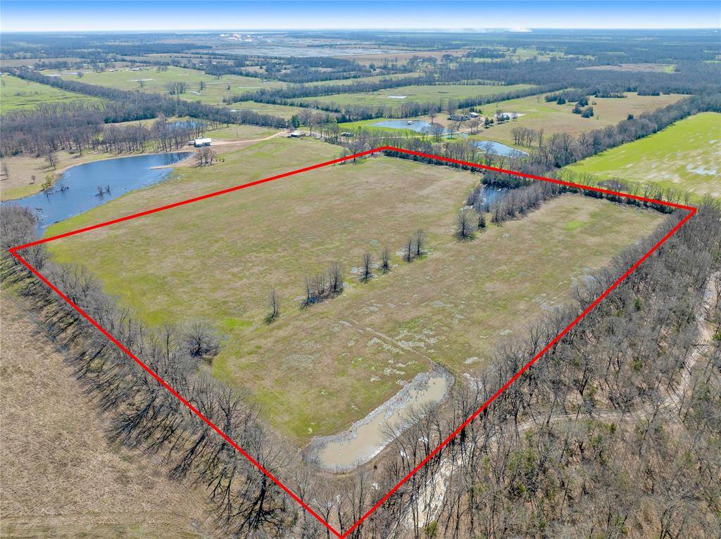 Pattonville, TX 75468,000 County Road 16590