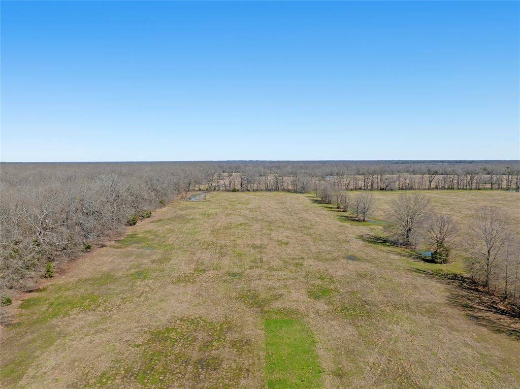 Pattonville, TX 75468,000 County Road 16590