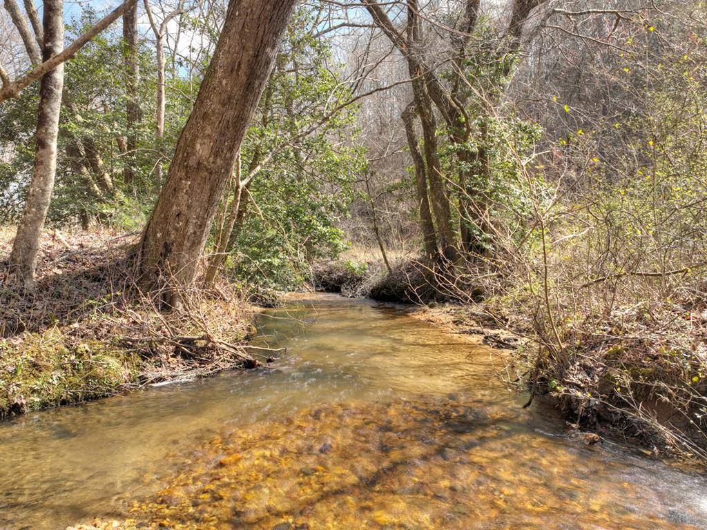 Blue Ridge, GA 30513,5 AC Pack Creek Road