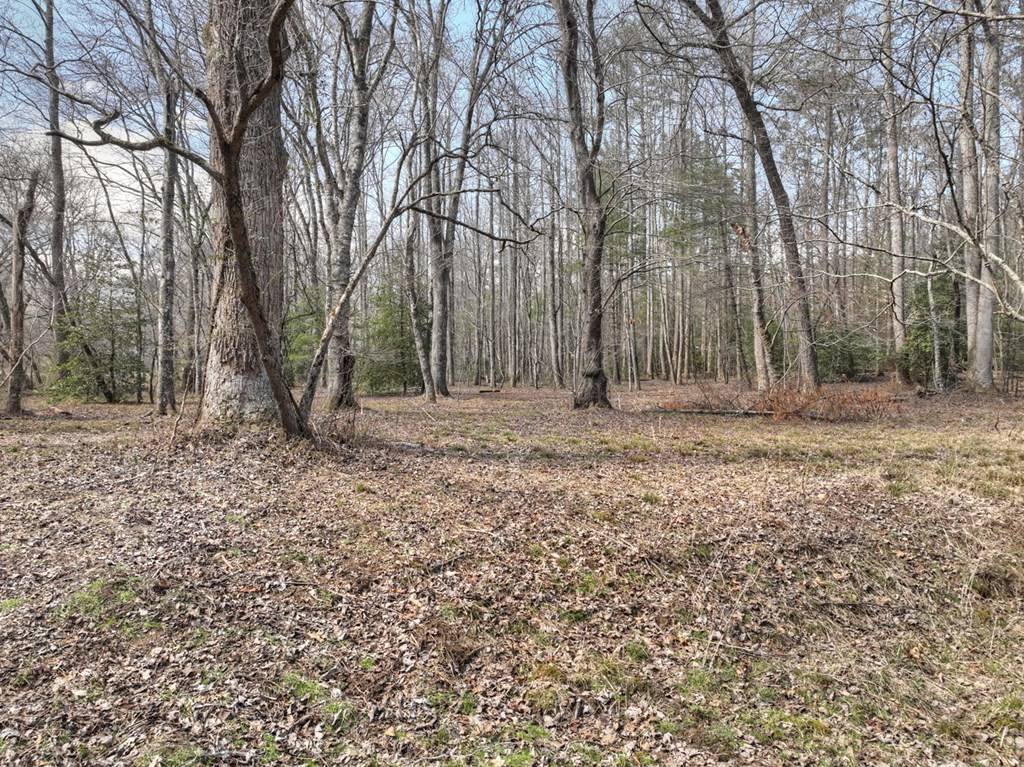 Blue Ridge, GA 30513,5 AC Pack Creek Road